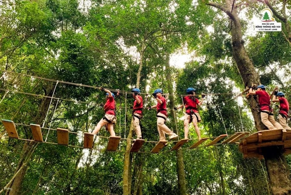 Dalat Elephant Mountain Pine Forest Ticket