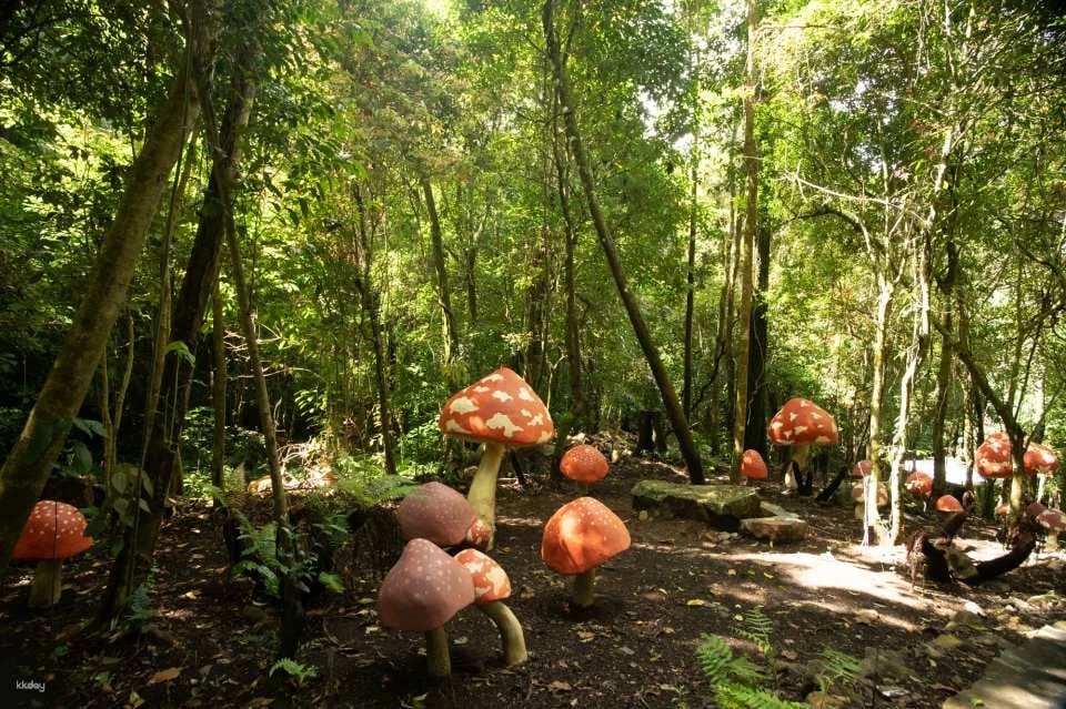Dalat Elephant Mountain Pine Forest Ticket