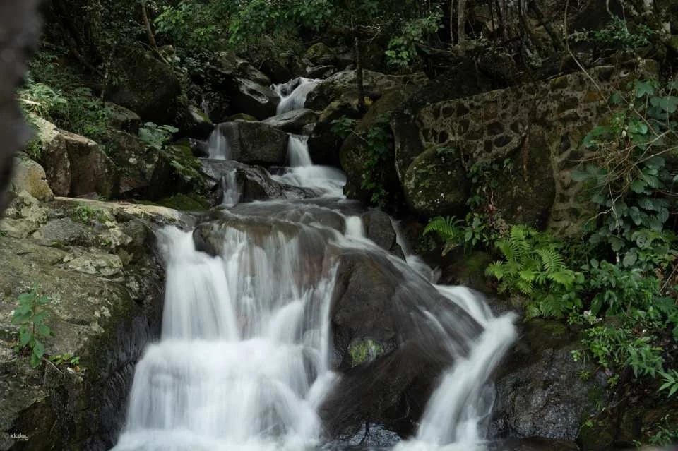 Dalat Elephant Mountain Pine Forest Ticket
