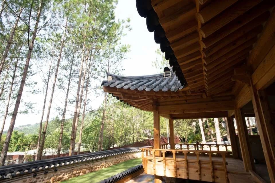 Dalat Elephant Mountain Pine Forest Ticket