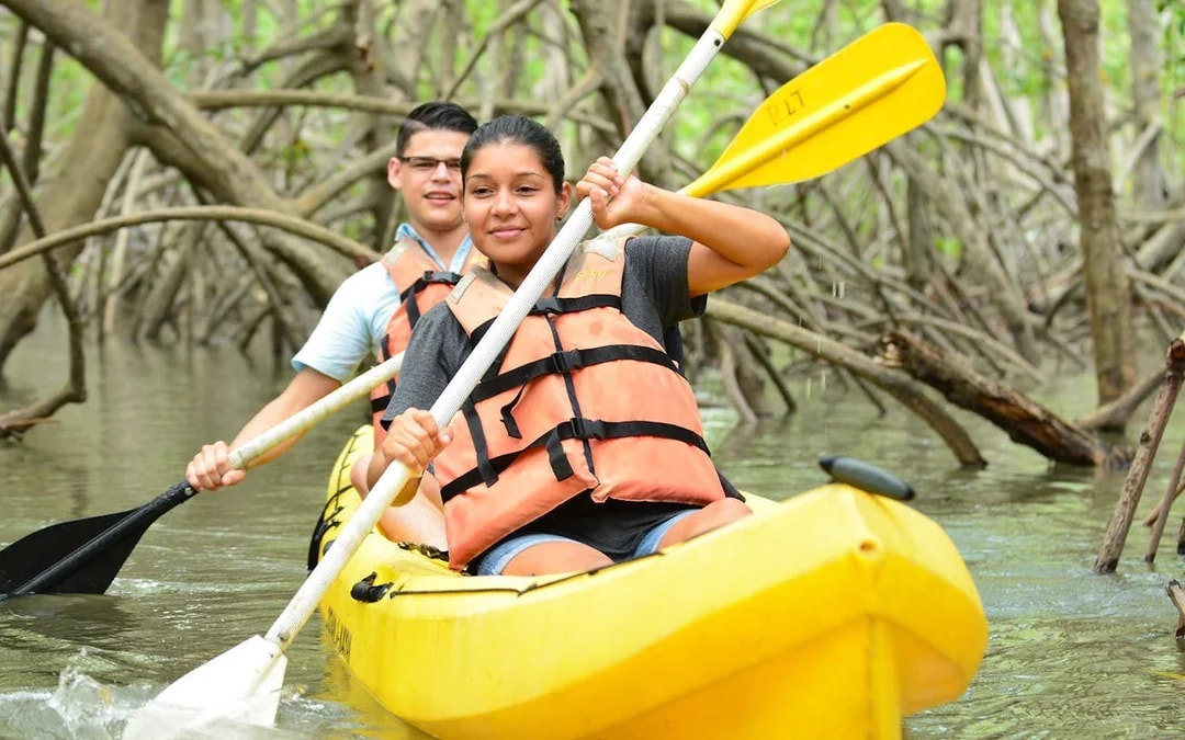 Damas Island Mangrove Estuary Kayak Tour with Lunch and Hotel Transfers from Manuel Antonio Image 6