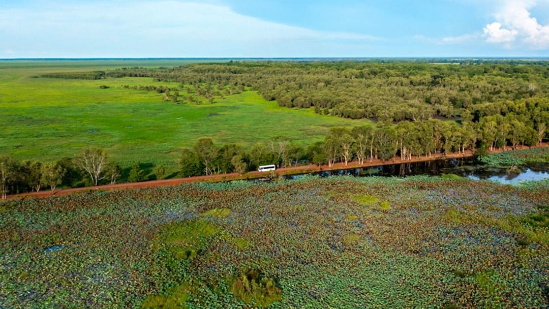 Bus traveling through lush landscape in Litchfield National Park, near Darwin.