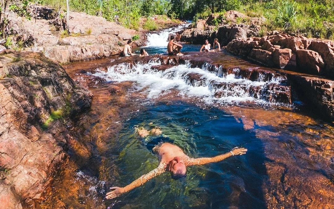 From Darwin: Litchfield National Park Day Tour with Optional Lunch Image 5