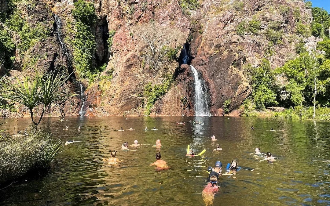 From Darwin: Litchfield National Park Day Tour with Optional Lunch Image 7