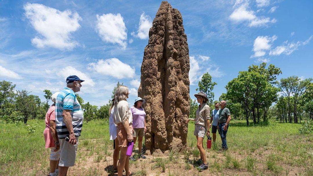 Tour group observing a large termite mound in Litchfield National Park, Northern Territory.