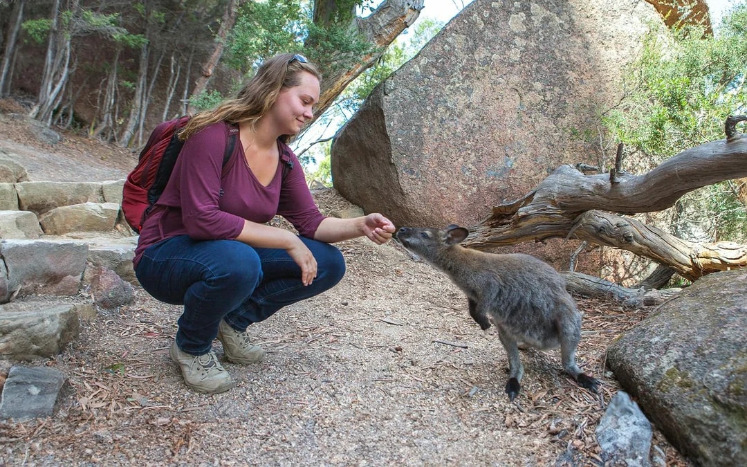 Day Tour from Hobart to Launceston via Wineglass Bay Image 1