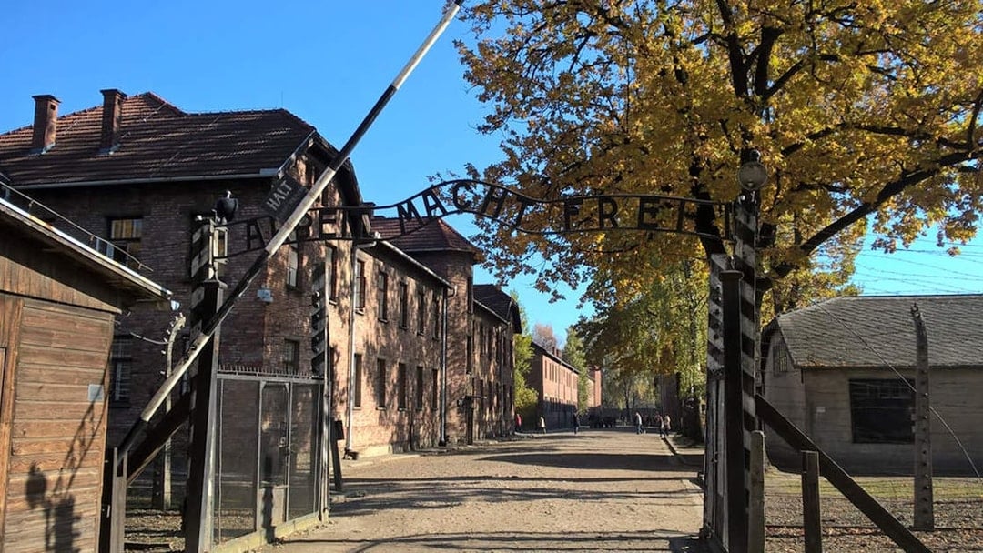 Day Tour of Auschwitz & Birkenau from Krakow