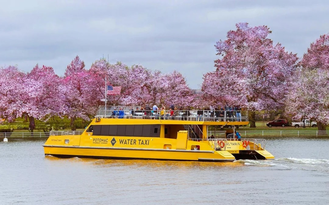 Big Bus: Washington DC Hop-on Hop-off Bus Tour with Optional Sunset Tour Image 9