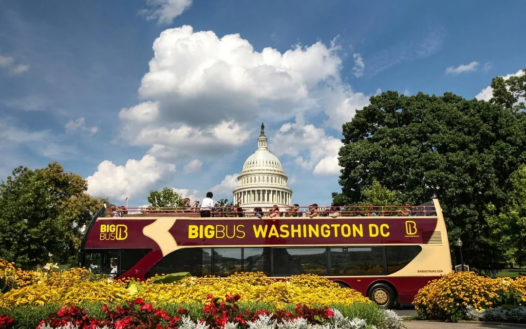 Big Bus: Washington DC Hop-on Hop-off Bus Tour with Optional Sunset Tour Image 3