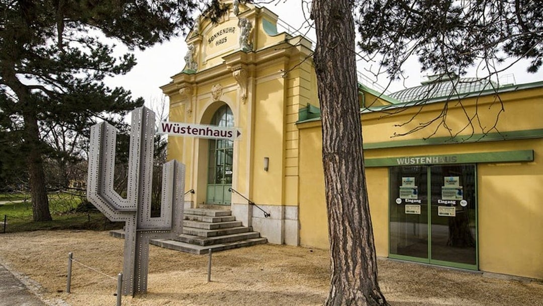 Desert House entrance at Schönbrunn Zoo with cactus sculpture and yellow facade.