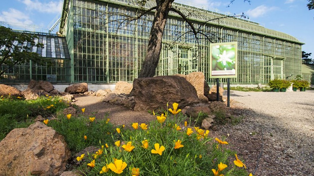 Desert House at Schönbrunn Zoo with yellow flowers and rocky landscape.