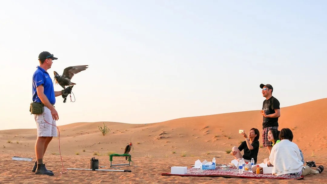 Desert safari group watching falconer with bird in Dubai dunes.