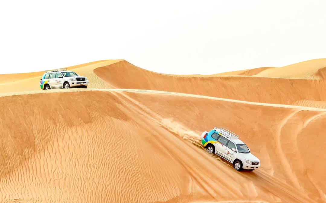 Desert Wonder: Evening Safari, Camel Farm Visit & BBQ Dinner Image 8