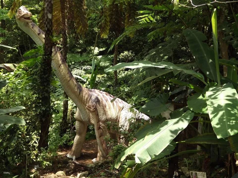 Dino Park Yanbaru Subtropical Forest Admission Ticket in Okinawa | Japan