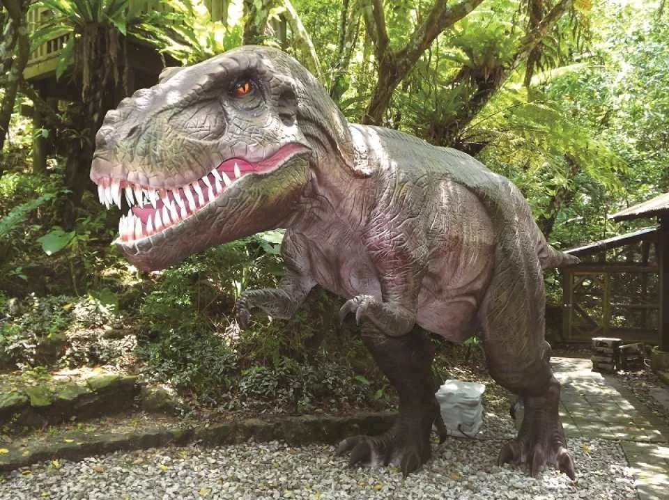 Dino Park Yanbaru Subtropical Forest Admission Ticket in Okinawa | Japan