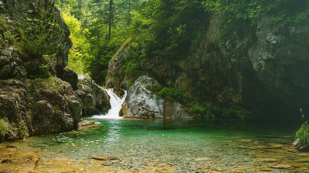 Waterfall and clear pool in lush forest at Mount Olympus, Greece.
