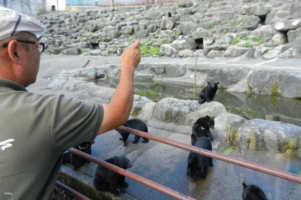 [Discounted rate] Okuhida Bear Ranch admission ticket + bear food bonus (Theme park, Takayama City, Gifu Prefecture)
