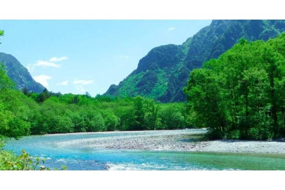 [Discounted rate] Okuhida Bear Ranch admission ticket + bear food bonus (Theme park, Takayama City, Gifu Prefecture)