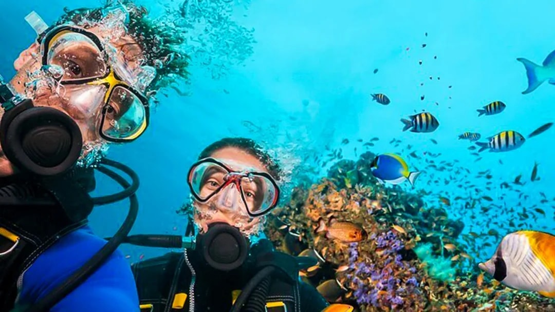 Scuba divers exploring coral reef with tropical fish in Dubai.