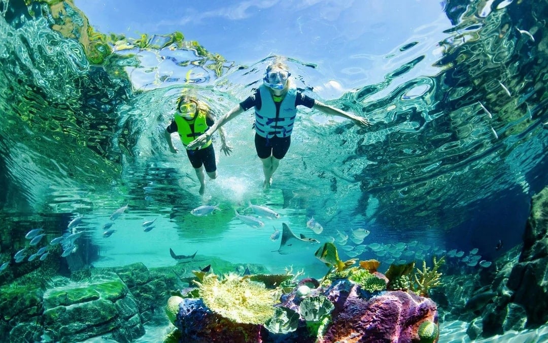 Discovery Cove Day Resort Tickets Image 1