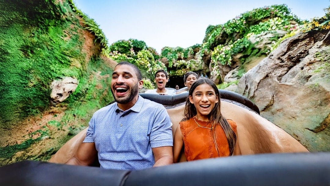 Disney’s Animal Kingdom 1-Day Ticket