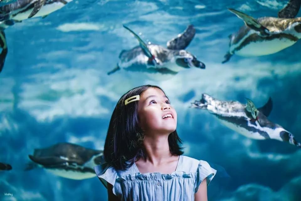DMM Kariyushi Aquarium Ticket in Okinawa, Japan