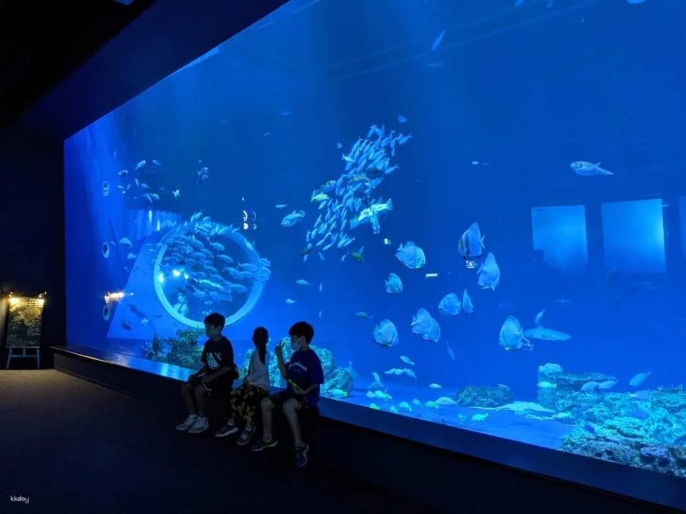 DMM Kariyushi Aquarium Tickets in Okinawa, Japan | Receive an Ice Cream Voucher