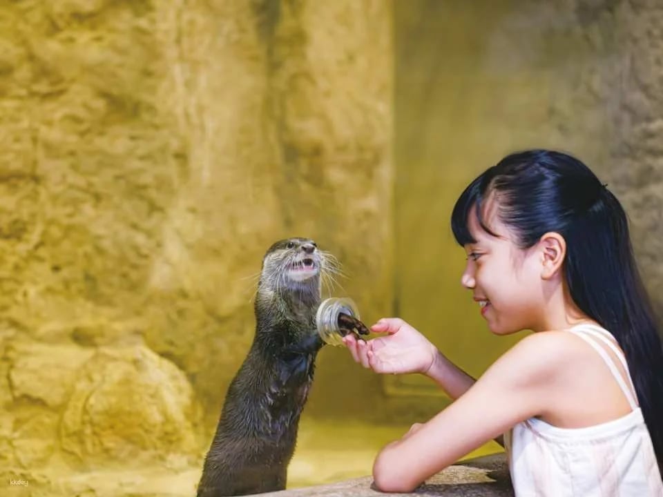 DMM Kariyushi Aquarium Tickets in Okinawa, Japan | Receive an Ice Cream Voucher