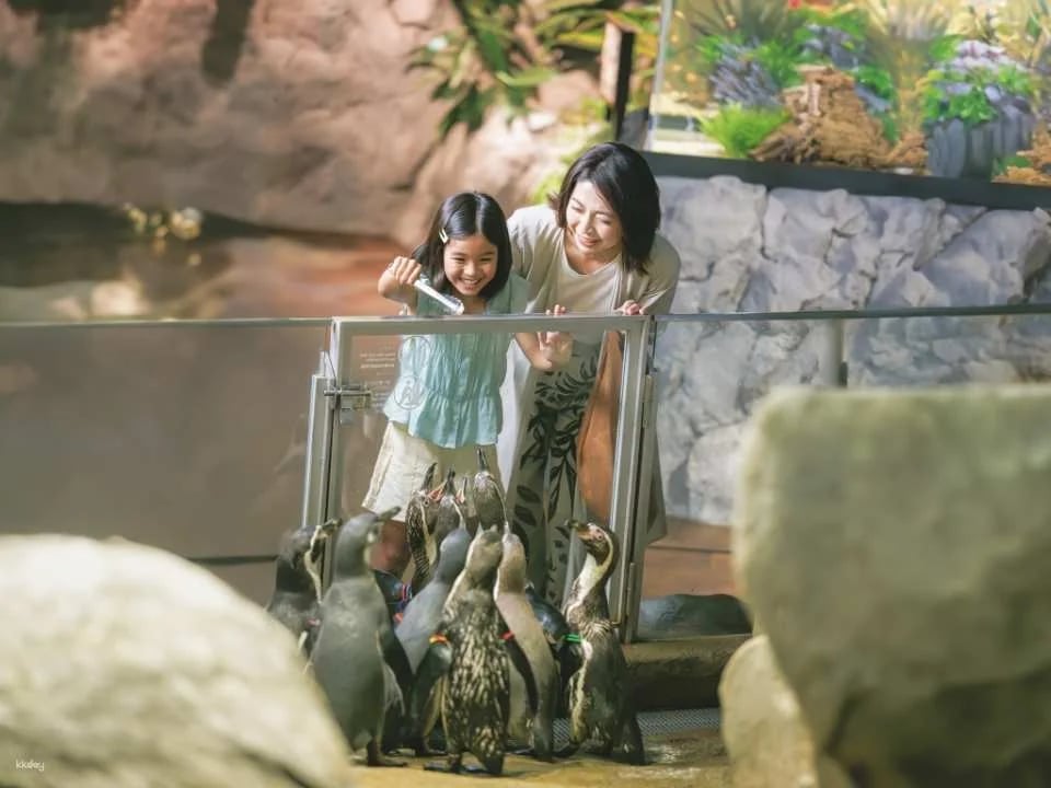 DMM Kariyushi Aquarium Tickets in Okinawa, Japan | Receive an Ice Cream Voucher