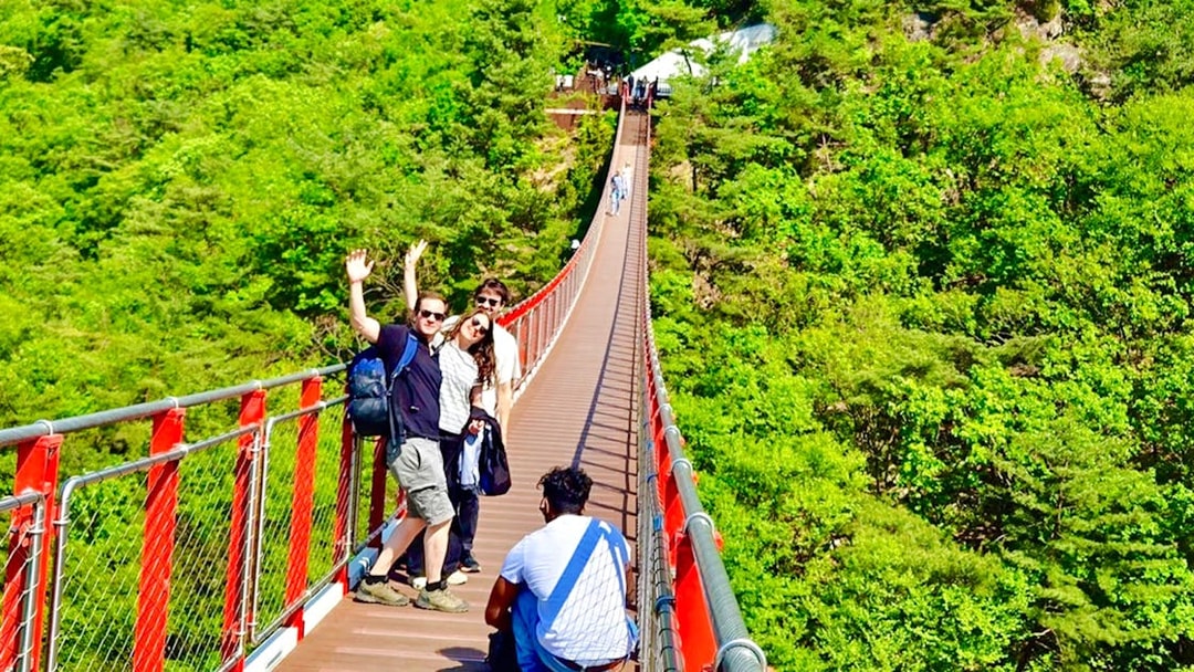 Tourists on a red suspension bridge enjoying mountain views during a DMZ tour from Seoul.