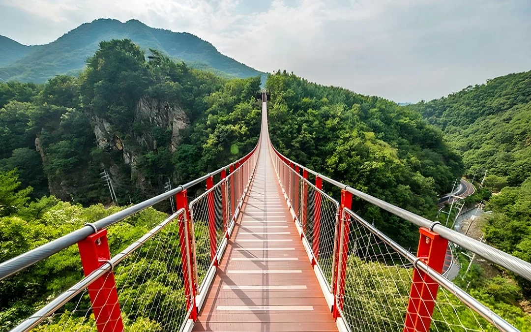 DMZ Full-Day Tour with Suspension Bridge Visit  Image 6