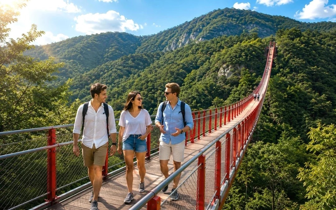 DMZ Full-Day Tour with Suspension Bridge Visit  Image 1