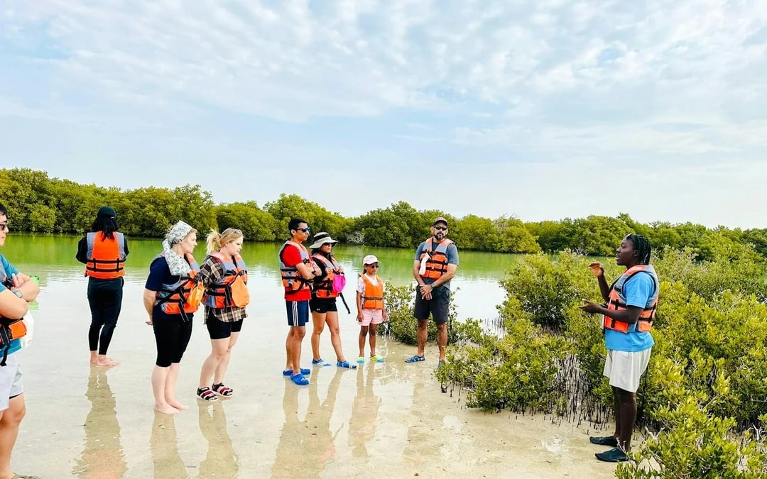Doha Al Thakhira Mangroves Guided Kayaking Tour Image 3