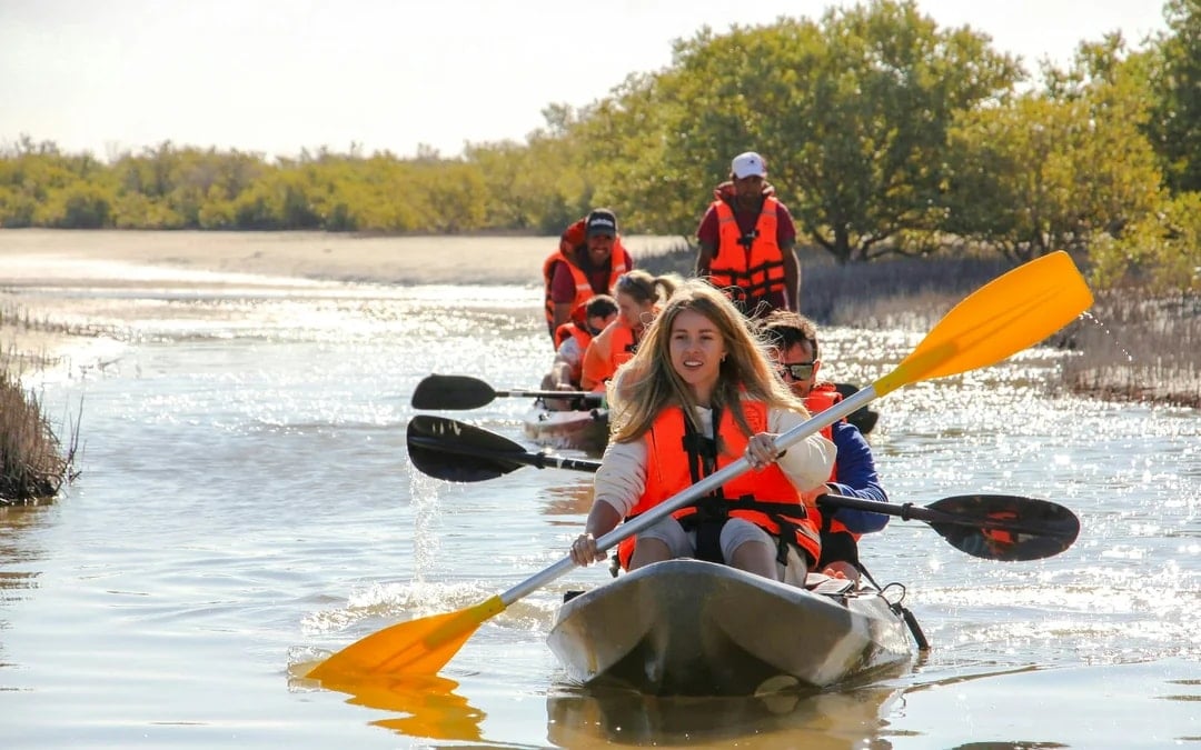 Doha Al Thakhira Mangroves Guided Kayaking Tour