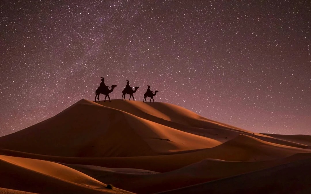 Doha Night Desert Safari with Stargazing, Sandboarding, Dune Bashing and Inland Sea Visit Image 2