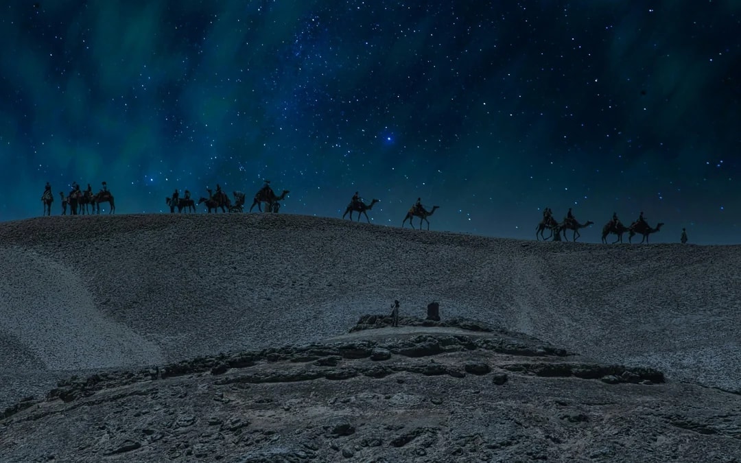 Doha Night Desert Safari with Stargazing, Sandboarding, Dune Bashing and Inland Sea Visit Image 5