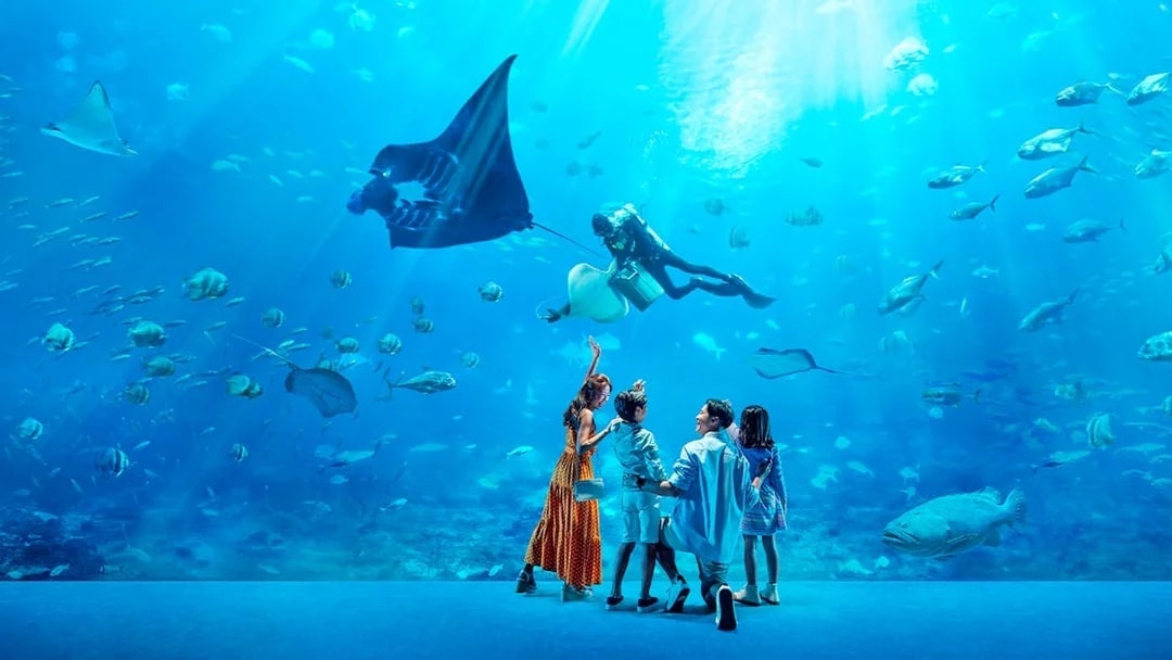 Family observing diver with manta ray at S.E.A. Aquarium Singapore.