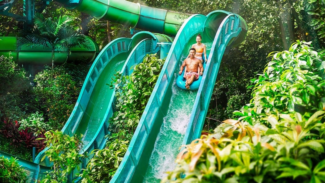 People riding the Riptide Rocket water slide at Adventure Cove Waterpark™ surrounded by lush greenery.