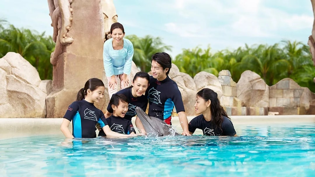 Family interacting with a dolphin at Dolphin Island, Resorts World Sentosa.