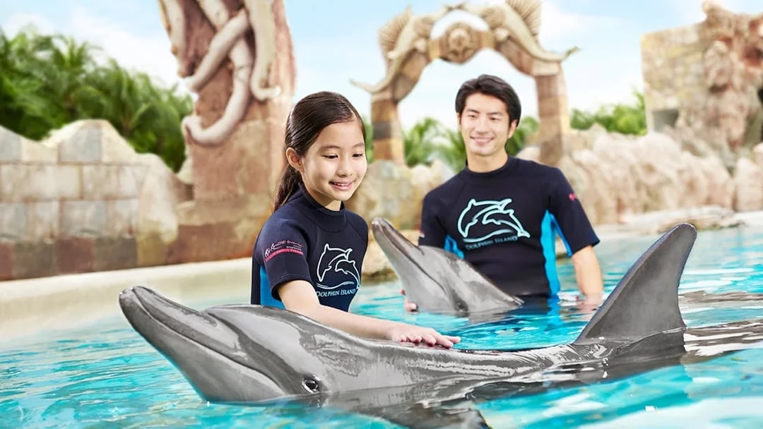Girl interacting with dolphin at Dolphin Island, Resorts World Sentosa.