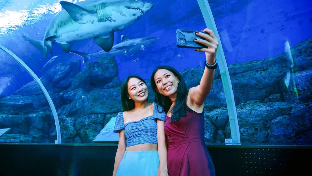 Women taking a selfie in front of a shark at S.E.A. Aquarium Singapore tunnel.