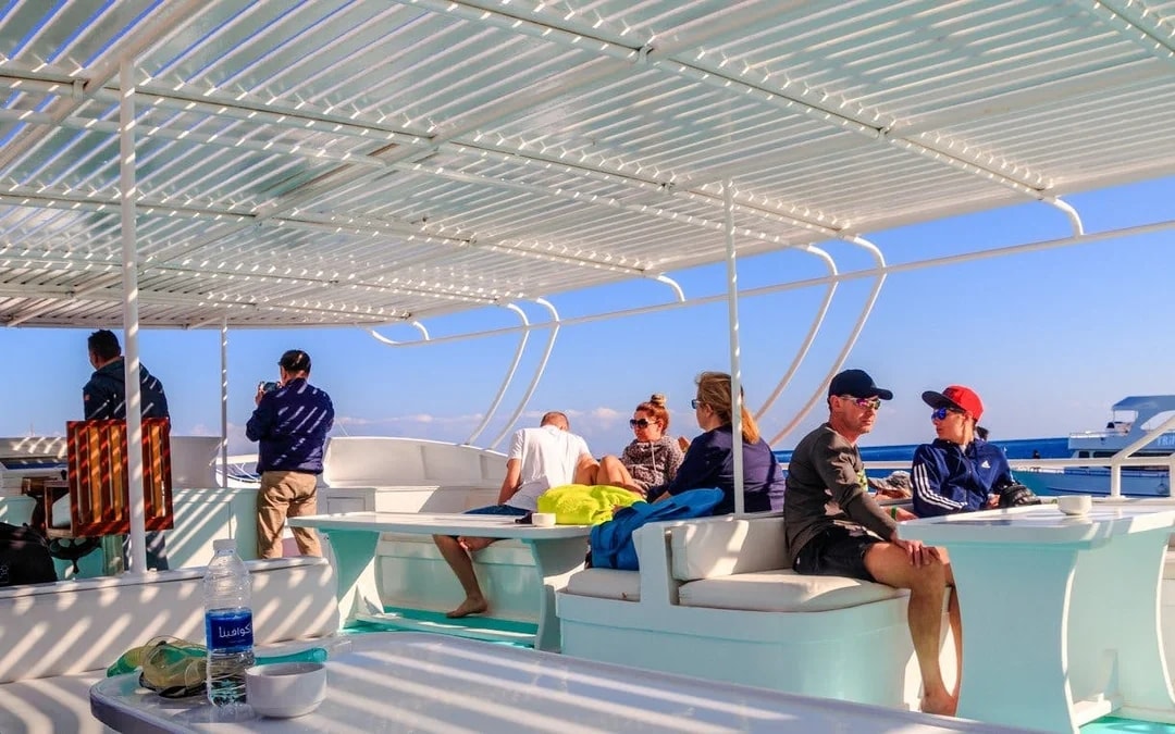 Dolphin House: Dolphin Watching Boat Tour with Snorkeling, Lunch & Optional Transfers Image 6