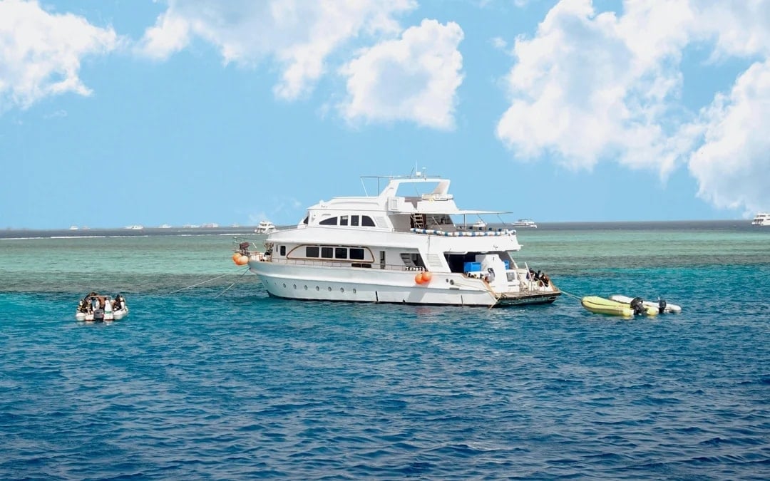 Dolphin House: VIP Cruise with Snorkeling, Buffet, Massage & Transfers Image 1