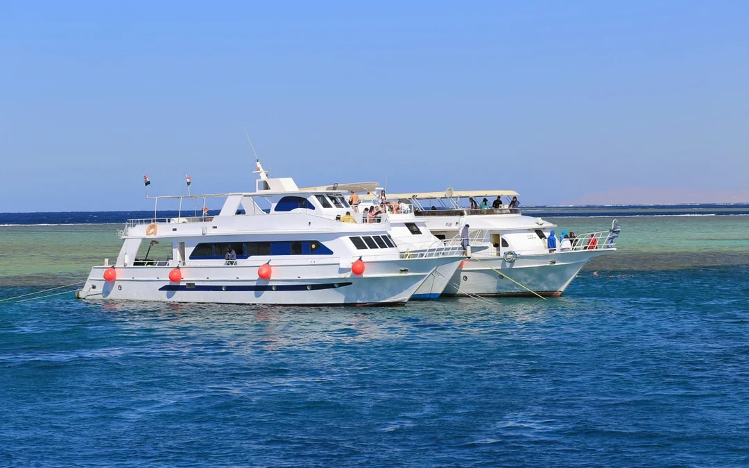 Dolphin House: VIP Cruise with Snorkeling, Buffet, Massage & Transfers Image 11
