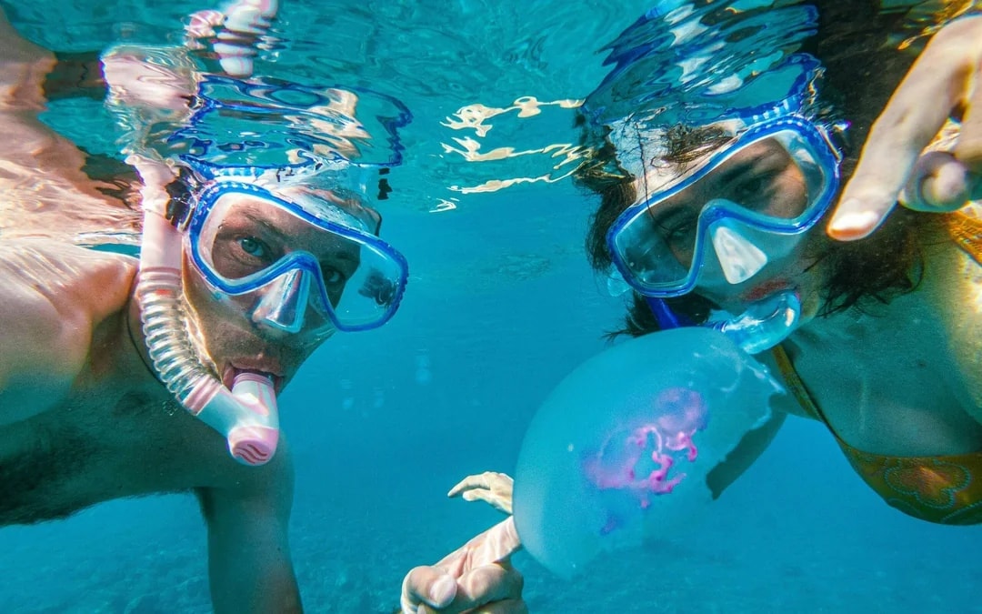 Dolphin House: VIP Cruise with Snorkeling, Buffet, Massage & Transfers Image 7