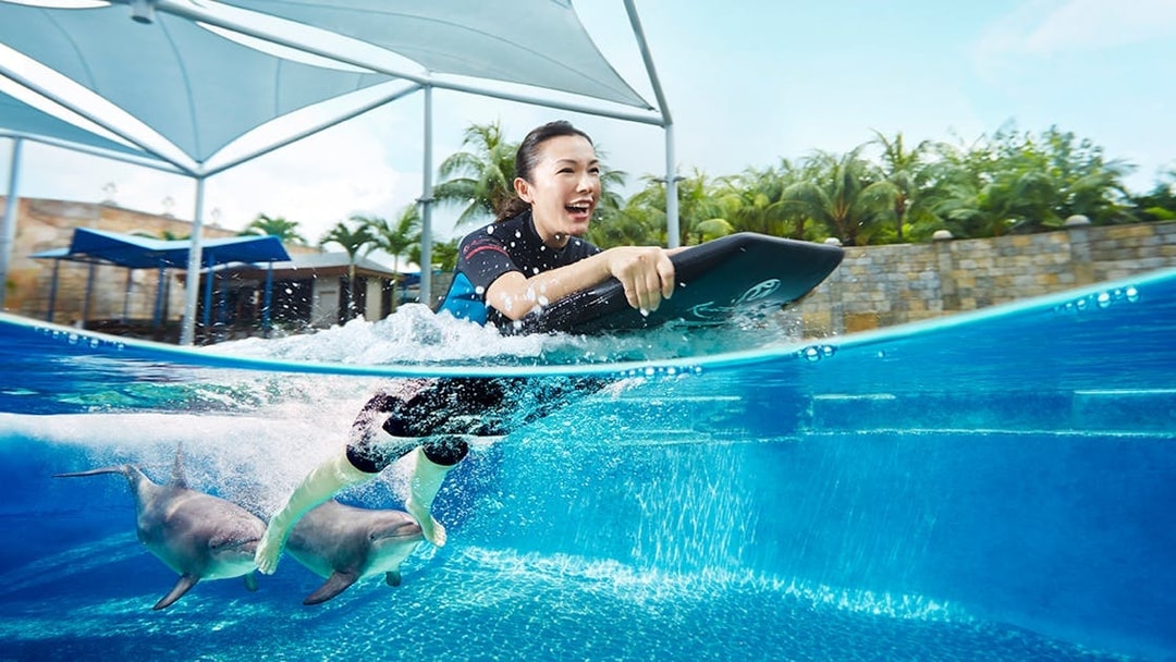 Person swimming with dolphins at Dolphin Island, Resorts World Sentosa, Singapore.