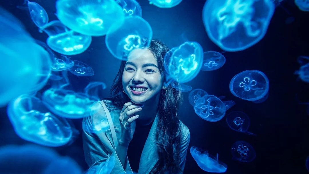 Woman observing jellyfish at S.E.A. Aquarium Singapore.