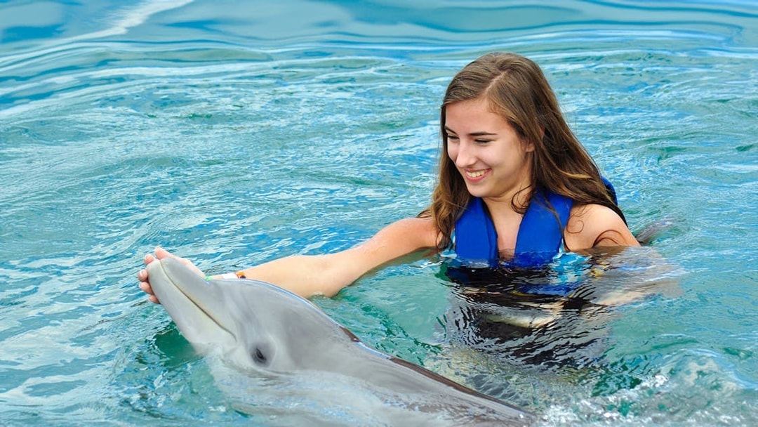 Girl interacting with dolphin at Pattaya Dolphinarium.