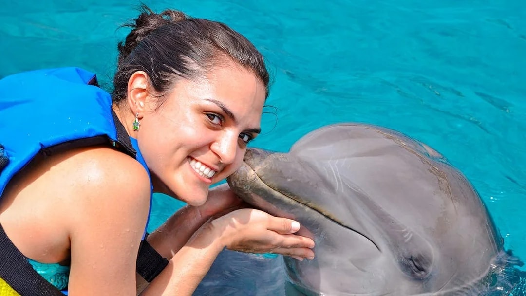 Person interacting with a dolphin at Dolphinarium Pattaya, Thailand.