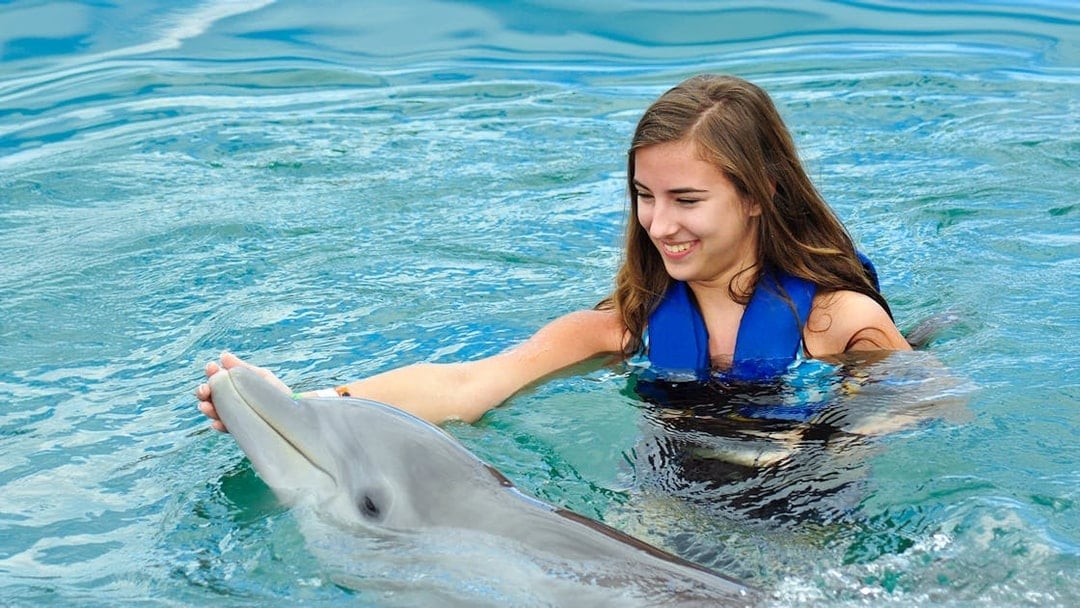 Girl interacting with dolphin at Pattaya Dolphinarium.